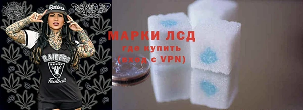 индика Верея