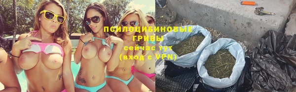 индика Верея