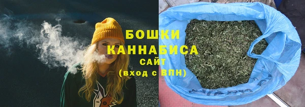 индика Верея