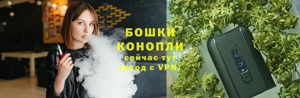 индика Верея