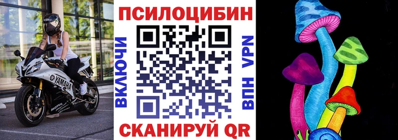 Псилоцибиновые грибы MAGIC MUSHROOMS цена Карачаевск