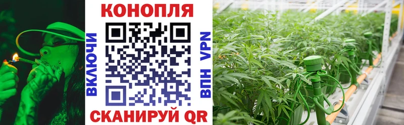 гидра   Карачаевск  Марихуана Amnesia 